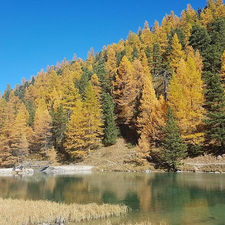 Le Repaire Du Vieux Cerf Appartement Le Monêtier-les-Bains Buitenkant foto